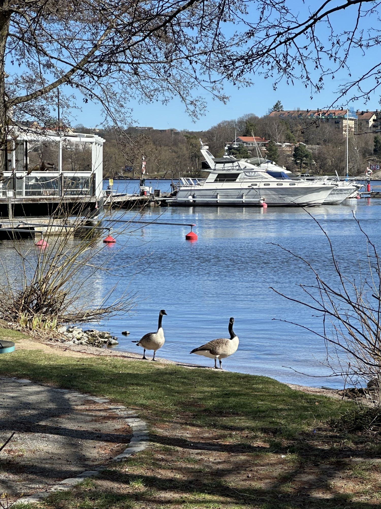 siteimg